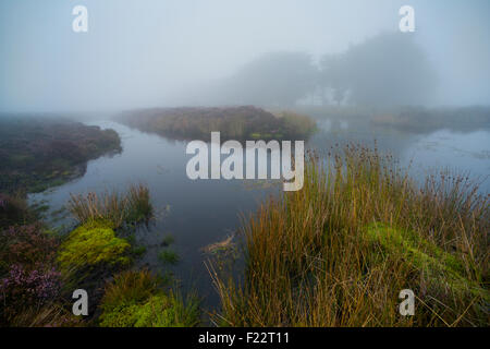 Long Mynd, Shropshire, UK. 10. September 2015. UK-Wetter: am frühen Morgennebel deckt die Long Mynd, in der Nähe von Kirche Stretton, in den Hügeln von Shropshire, England: Donnerstag, 10. September 2015. Bildnachweis: John Hayward/Alamy Live-Nachrichten Stockfoto