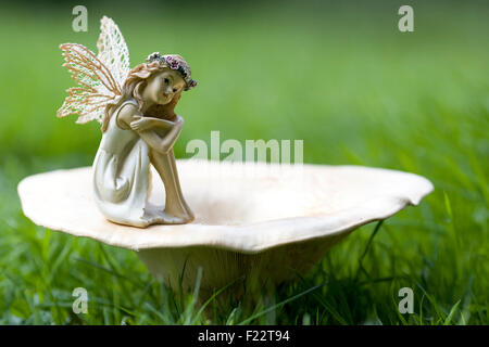 Flower Fairies im Garten mit Pilzen Stockfoto