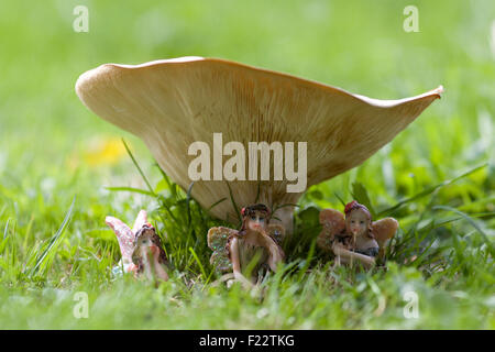 Flower Fairies im Garten mit Pilzen Stockfoto