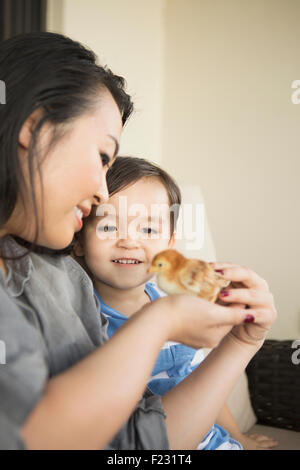 Lächelnde Frau hält eine kleinere Küken in ihren Händen, ihrem kleinen Sohn beobachten. Stockfoto