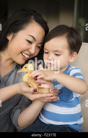 Lächelnde Frau hält eine gelbe Entlein in ihren Händen, ihrem kleinen Sohn das Tier streicheln. Stockfoto