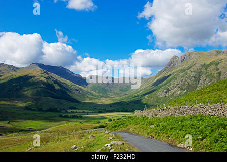 Der Weg zum Great Langdale, Nationalpark Lake District, Cumbria, England UK Stockfoto