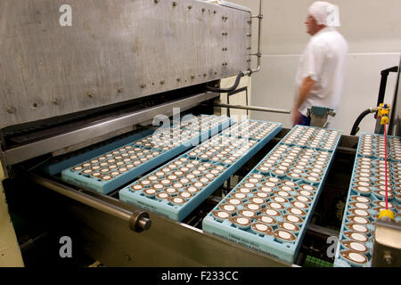 Ein Arbeiter inspiziert eiförmigen Formen auf der Fertigungslinie Cadbury Creme Eier in Bournville. Stockfoto