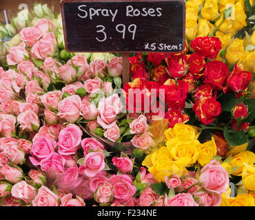 Trauben der Spray Rosen für Verkauf im Ladengeschäft Floristen, rosa, rot, gelb, obenliegende Ansicht mit Preisschild. Stockfoto