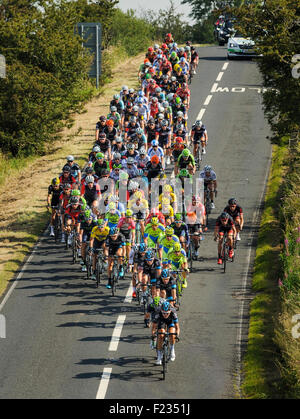 Northumberland, UK. 10. Sep, 2015. Tour durch Großbritannien Cycle Race 2015 Hauptfeld auf die Military Road in Northumberland Credit: Clearview/Alamy Live News Stockfoto