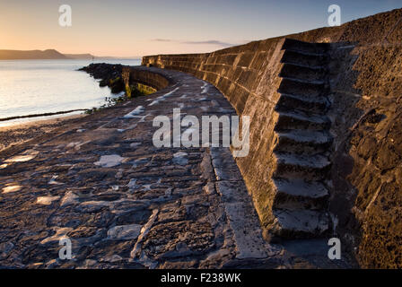 Der Cobb-Hafen Wand in Lyme Regis in Dorset Jurassic Coast, England, UK Stockfoto