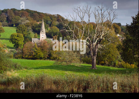 Herbst bei Monkton Wyld Kirche, Dorset, England, UK Stockfoto