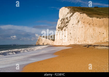 Blick entlang des Strandes in Richtung Swyre Head und Fledermäuse Kopf auf Dorset Jurassic Coast in der Nähe von Lulworth, Dorset, UK. Stockfoto