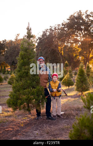 Vater und Sohn stehen mit einem Weihnachtsbaum haben sie nur an eine Baumschule geschnitten. Stockfoto