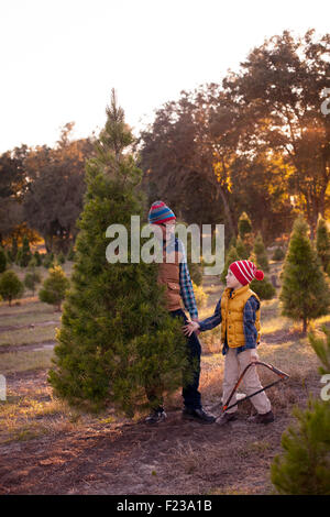 Vater und Sohn stehen mit einem Weihnachtsbaum haben sie nur an eine Baumschule geschnitten. Stockfoto