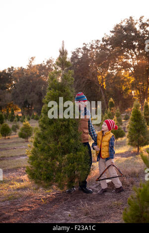 Vater und Sohn stehen mit einem Weihnachtsbaum haben sie nur an eine Baumschule geschnitten. Stockfoto