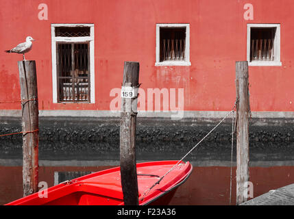 Canalside Szene mit hölzernen festmachen, Polen (Palina) Seagull und kleines rotes Boot Chioggia venezianischen Lagune Veneto Italien Europa Stockfoto