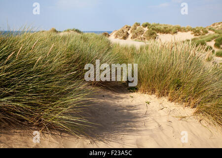 Erodierte Sanddüne in Southport; Natur, Strand, Himmel, Meer, Sommer, blauer Himmel, Küste, Fußabdrücke und Spuren, Marram-Grasvegetation an der Küste, Merseyside UK Stockfoto