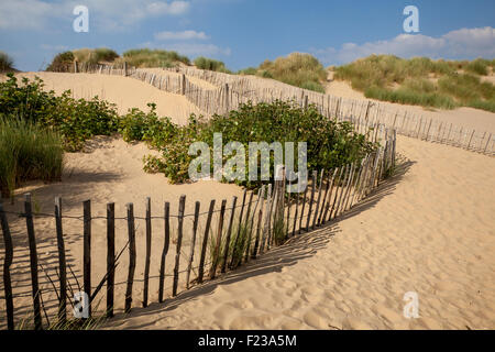 Sanddünen Erosion bei Crosby, Merseyside. Wind weht feinen leichten Sand vom Strand. Dünenschutz mit Holz Palisade Zaun, Großbritannien Stockfoto