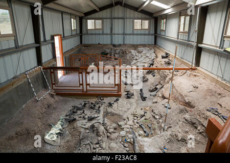 Cleveland, Utah - Cleveland-Lloyd Dinosaur Quarry. Am Standort wurden mehr als 12.000 Jurassic-Ära Dinosaurierknochen gefunden. Stockfoto