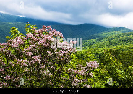 Blick aus der Blue Ridge Parkway, der die rauchigen und Blue Ridge Mountains in North Carolina. Stockfoto