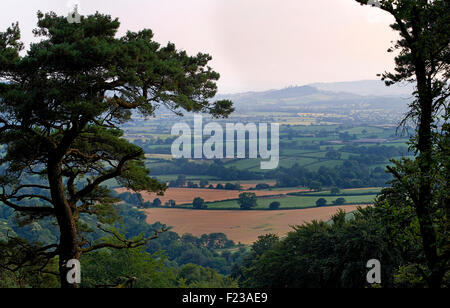 Blick auf Landschaft aus Lewesdon Hügel, in der Nähe von Bridport, Dorset, England Stockfoto