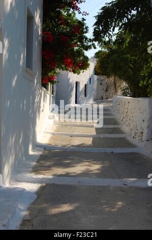 kleine Blumen gesäumten Straße und Häuser in Langada, Amorgos, Griechenland Stockfoto