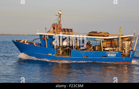 Fischer arbeitet auf einem Fischkutter im Morgengrauen in der Lagune von Venedig Italien Europa Stockfoto