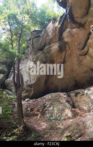 Mädchen klettert einen steilen Weg in der Ferne in einem Wald mit riesigen großen Felsen Überhang auf Hemlock Klippen trail Stockfoto