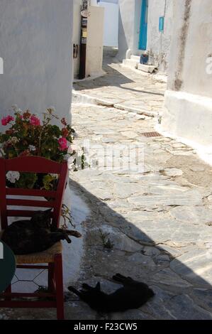 Straße in der Chora von Amorgos eine griechische Insel der Kykladen Stockfoto