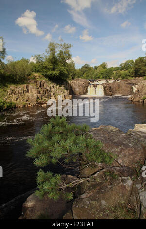 Geringe Kraft, Teesdale, County Durham Stockfoto