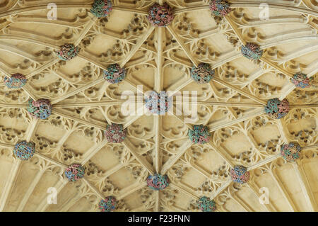 Ein Detail der bunten Bosse der reich verzierte gotische Ventilator gewölbte Decke über der Orgelempore, Sherborne Abbey. Dorset, England, Vereinigtes Königreich. Stockfoto