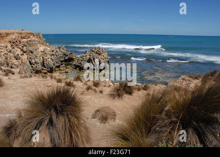 Kalkstein Küstenlinie, Robe, South Australia Stockfoto