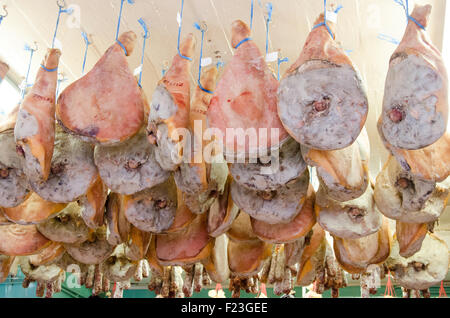 Gesamte Bayonne-Schinken Jamon in einem Raum an der Decke hängend trocknen Stockfoto