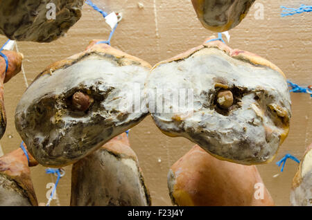 Gesamte Bayonne-Schinken Jamon trocknen, hängen an der Decke Stockfoto