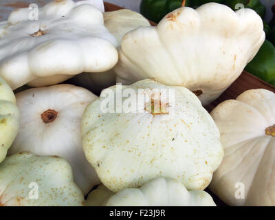 Eine Schachtel mit frisch geernteten weißen Pattypan Squash bei einem örtlichen Bauernmarkt. Stockfoto