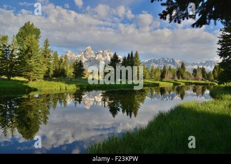 Die Teton spiegelt sich im Teich der Rückstau des Snake River im Schwabacher Landung im Grand Teton National Park in Wyoming Stockfoto