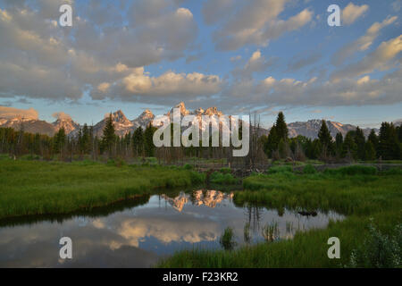 Morgenwolken spiegelt sich in den Teichen der Rückstau des Snake River im Schwabacher Landung im Grand Teton National Park in Wyoming Stockfoto