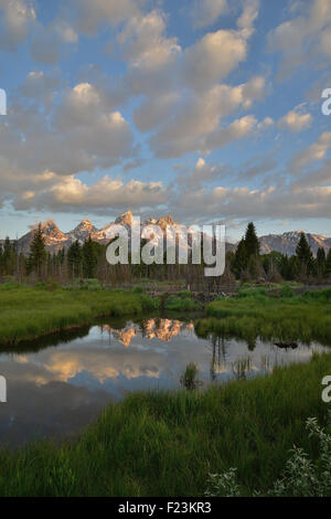 Morgenwolken spiegelt sich in den Teichen der Rückstau des Snake River im Schwabacher Landung im Grand Teton National Park in Wyoming Stockfoto