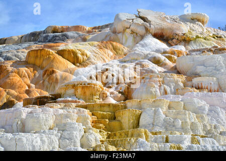 Terrasse-Formationen in Mammoth Hot Springs im nordwestlichen Yellowstone National Park im Nordwesten von Wyoming Stockfoto