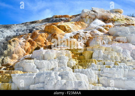 Terrasse-Formationen in Mammoth Hot Springs im nordwestlichen Yellowstone National Park im Nordwesten von Wyoming Stockfoto