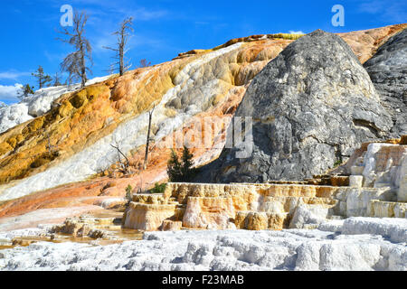 Terrasse-Formationen in Mammoth Hot Springs im nordwestlichen Yellowstone National Park im Nordwesten von Wyoming Stockfoto