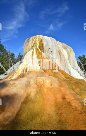 Terrasse-Formationen in Mammoth Hot Springs im nordwestlichen Yellowstone National Park im Nordwesten von Wyoming Stockfoto