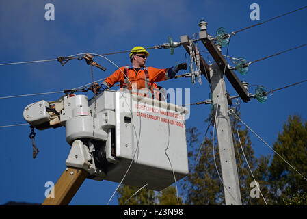 GREYMOUTH, Neuseeland, 5. August 2015: Linienrichter Draht oben ein Netz Stromversorgungskabel auf einen neuen Pfosten Stockfoto