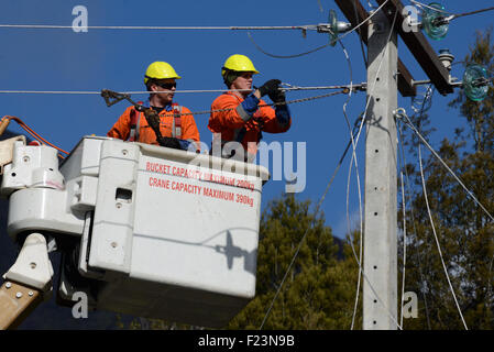 GREYMOUTH, Neuseeland, 5. August 2015: Linienrichter Draht oben ein Netz Stromversorgungskabel auf einen neuen Pfosten Stockfoto