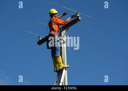 GREYMOUTH, Neuseeland, 5. August 2015: Ein Linienrichter Drähte oben ein Netz Stromversorgungskabel an einem neuen Mast in der Nähe Stockfoto