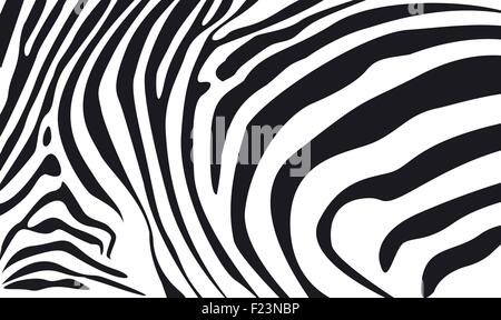Zebrafell strukturierten Hintergrund illustration Stock Vektor