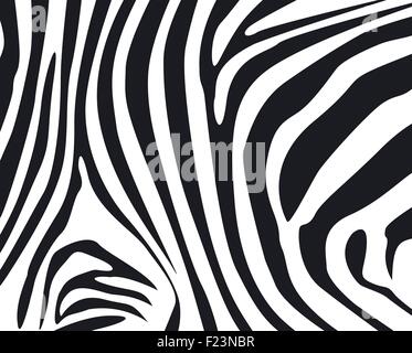 Zebrafell strukturierten Hintergrund illustration Stock Vektor