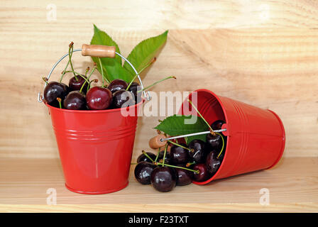 Dunkle rote Kirschen und Kirsch Blätter in einen roten Eimer Stockfoto