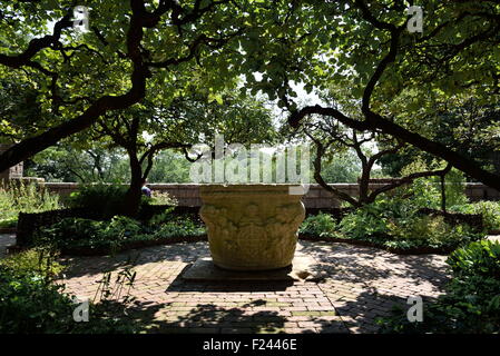 ein botanischer Garten in einem der wichtigsten Colysters in der Naturhistorischen Museum separate Anlage in uptown Manhattan Stockfoto