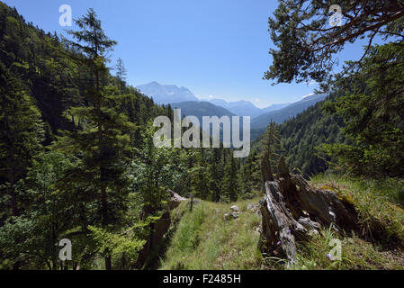 Blick auf die Zugspitze-massiv vom Wanderweg zum Berg Schellschlicht, Grainau, Deutschland Stockfoto