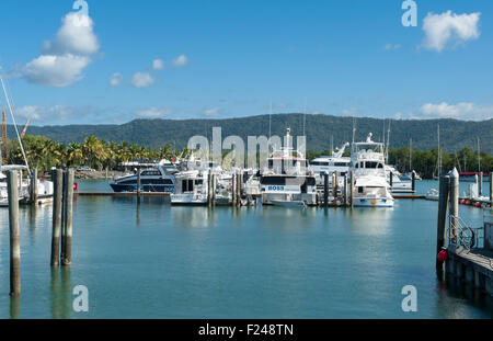 Dickson Inlet von Port Douglas im tropischen Queensland finden Sie einen Jachthafen und kleinen Hafen Stockfoto