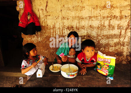 Guatemala, San Bartolo, Mutter Vorbereitung Ernährung Beikost und Chispitas (Rosa Margarita Torres Perez 2 Jahre, 4 Monate, Eleasar Usiel Torres Perez 3 y Medio, Luisa Maribel Torres Perez 5, Elvia Perez Sontay 31) Stockfoto