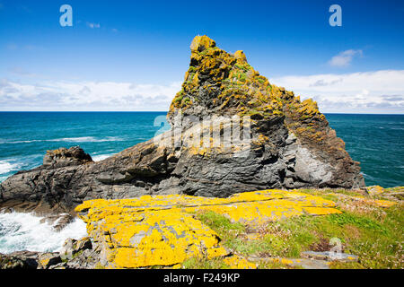 Flechten bedeckt Felsen am Bürzel Punkt in der Nähe von Polzeath, Cornwall, UK. Stockfoto