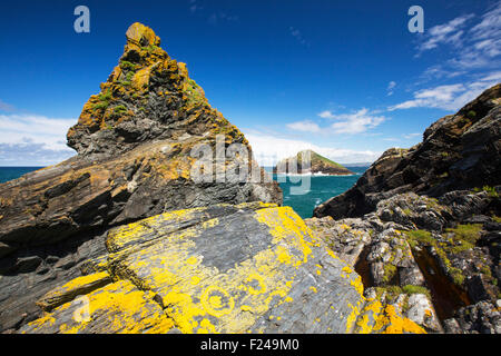 Flechten bedeckt Felsen am Bürzel Punkt in der Nähe von Polzeath, Cornwall, UK. Stockfoto